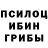 Псилоцибиновые грибы мухоморы Adam Adamasov