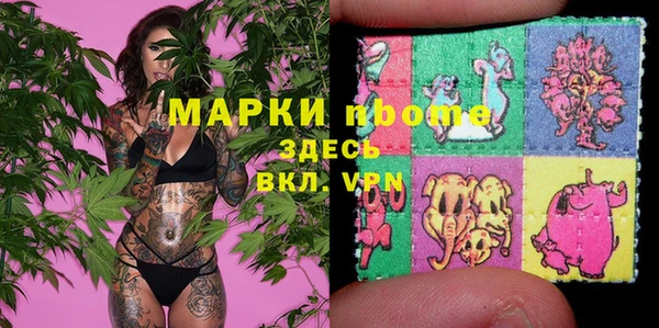 дмт Билибино