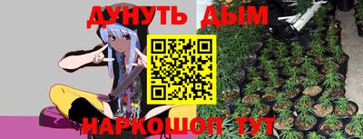 хмурый Дубна