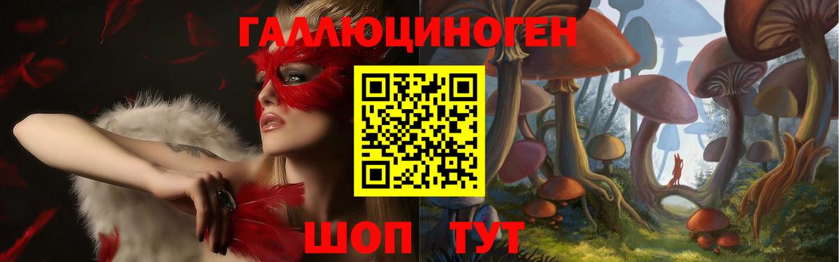 Галлюциногенные грибы Psilocybine cubensis  Псилоцибиновые грибы MAGIC MUSHROOMS  Котлас  Вход с VPN 